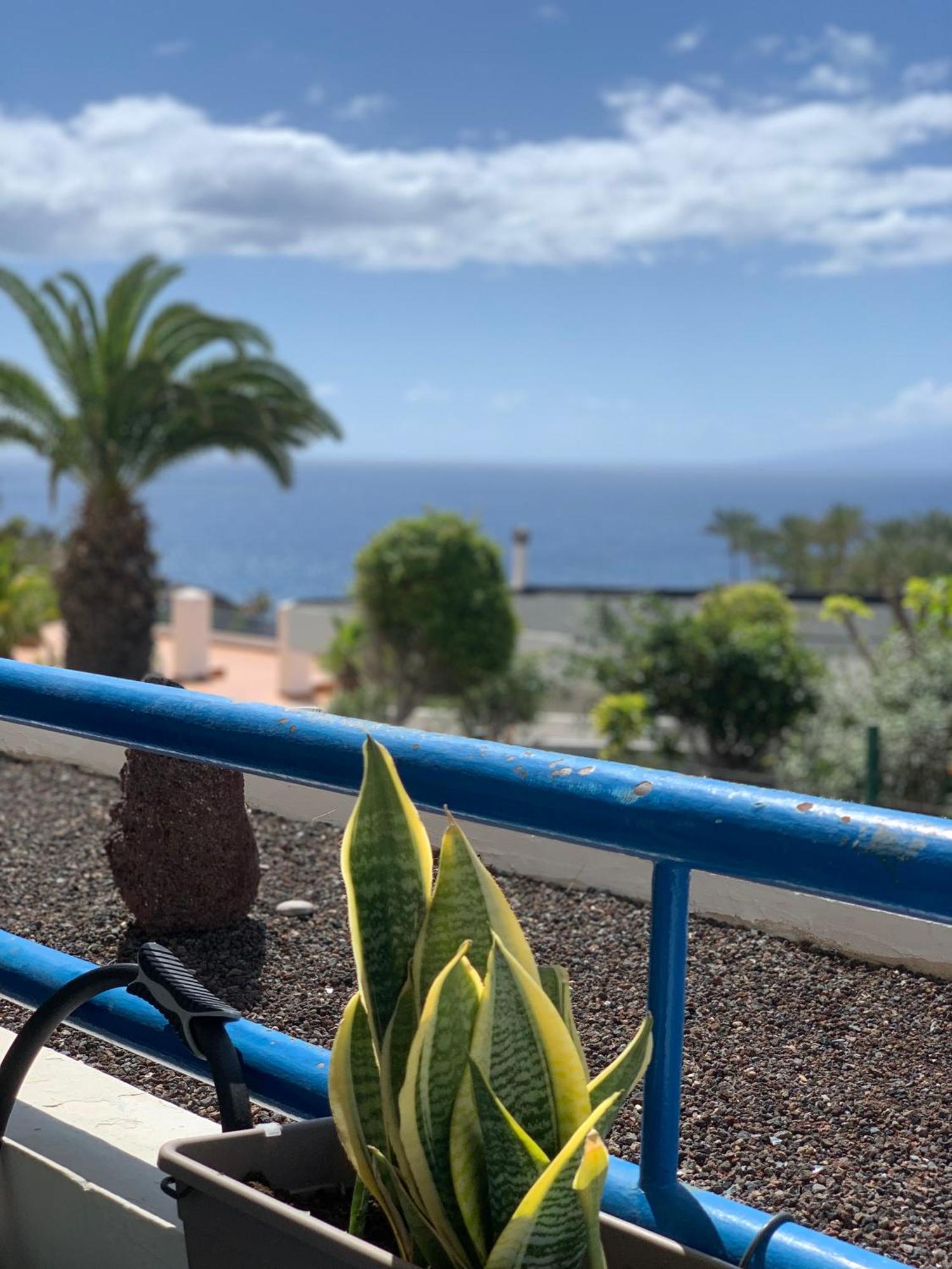 Apartment El Paraiso De Anavemar Playa Paraiso (Tenerife)